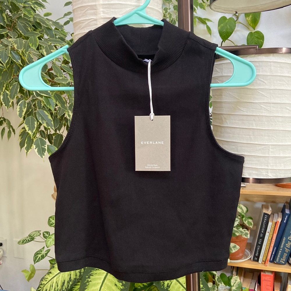 Everlane Ribbed Mockneck Tank